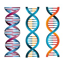 set of structures deoxyribonucleic acid vector illustration design