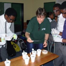 Intermolecular forces