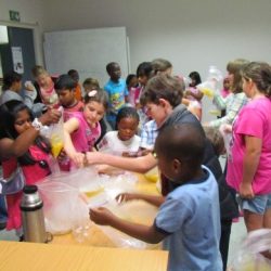 The power of insulation