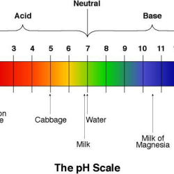 pH of household items